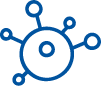 Rinichii