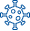 Virionii