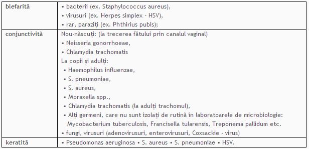 oculare