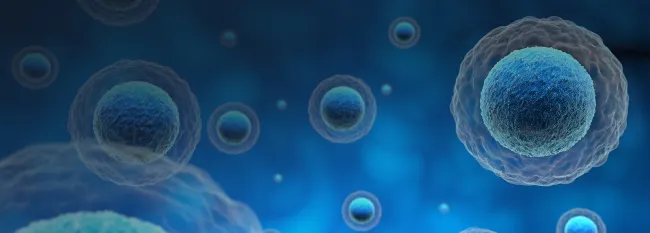 Actualități ale opțiunilor de testare oncologică pentru un tratament personalizat