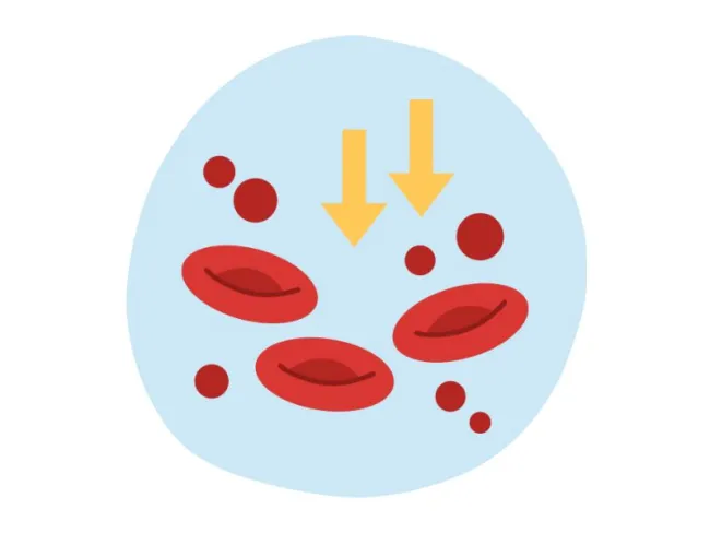 Informații utile despre “Profil screening anemie”