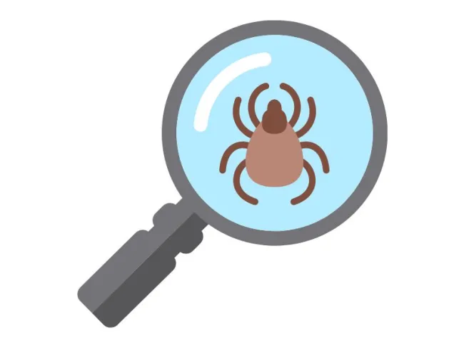 Boala Lyme (Borelioza): Ce este, simptome, analize și tratament