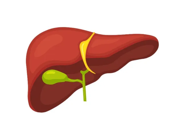 Informații utile despre “Colesterol total”