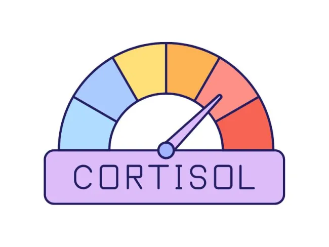 Cortizol mărit: Analize recomandate & Tratament pentru cortizol mărit