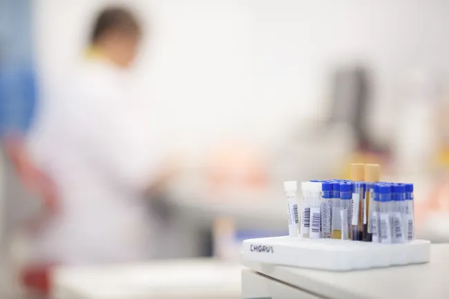 Synevo România deschide primul său centru de recoltare din județul Covasna și ajunge la o acoperire națională de peste 80%