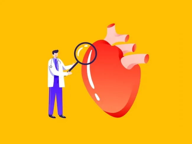 Ateroscleroza și importanța evaluării profilului lipidic