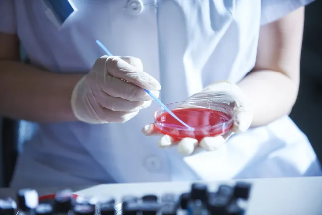 Synevo România deschide primul punct de recoltare în județul Vaslui