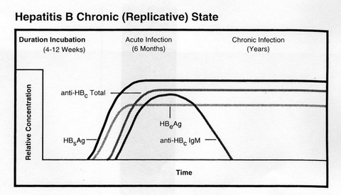 hepatita_b_2 hepatita_b_2