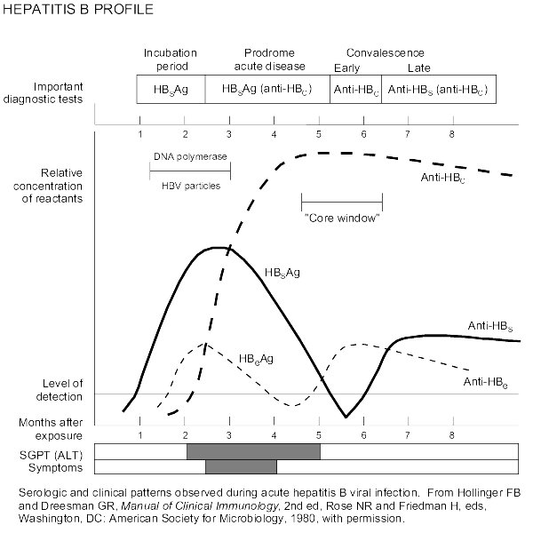 Profil Hepatită Virală B Monitorizare Evoluţie Si Sau Tratament