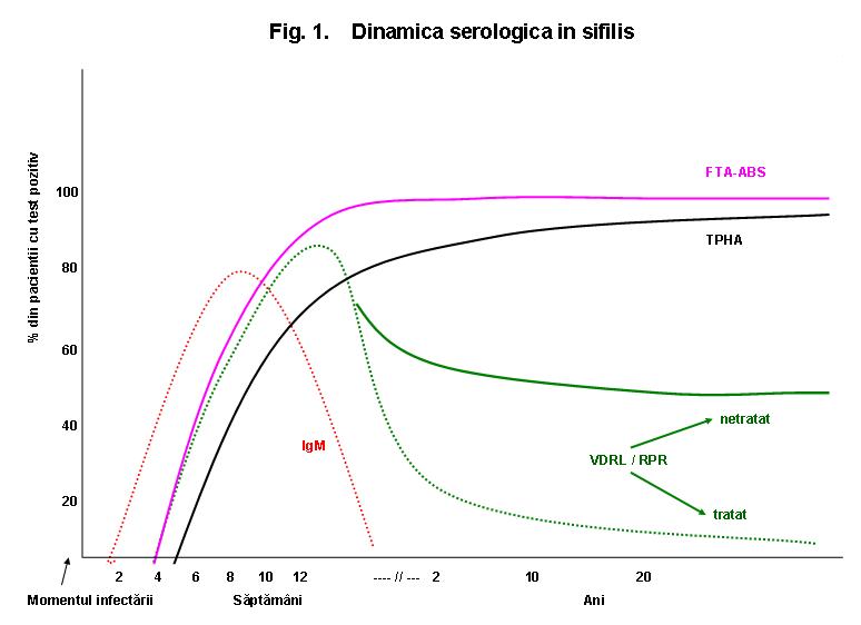 Serologie sifilis (VDRL/RPR si Anticorpi-Treponema pallidum ...