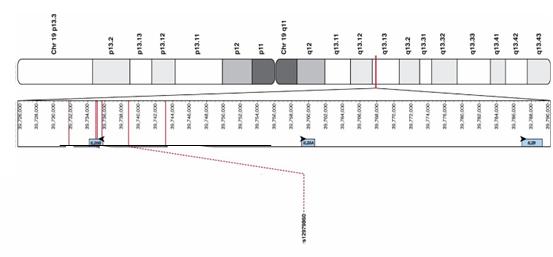 analiza polimorfismului genei interleukinei28b