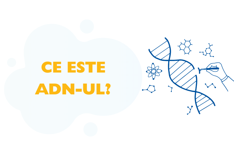 ADN uman, ce este adn?