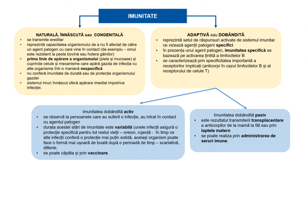 imunitate pasiva activa sars cov 2, covid-19