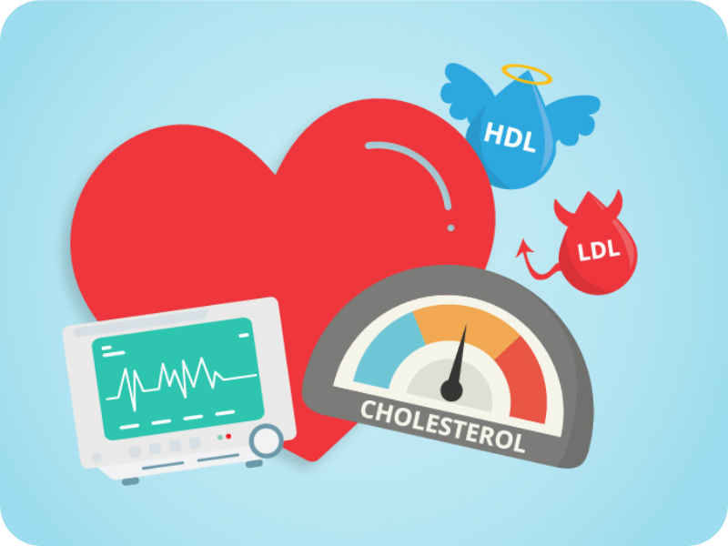 colesterol, colesterol HDL, colesterol LDL