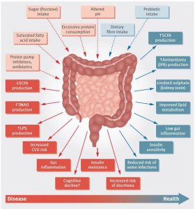 microbiota, microbiota intestinala, disbioza intestinala