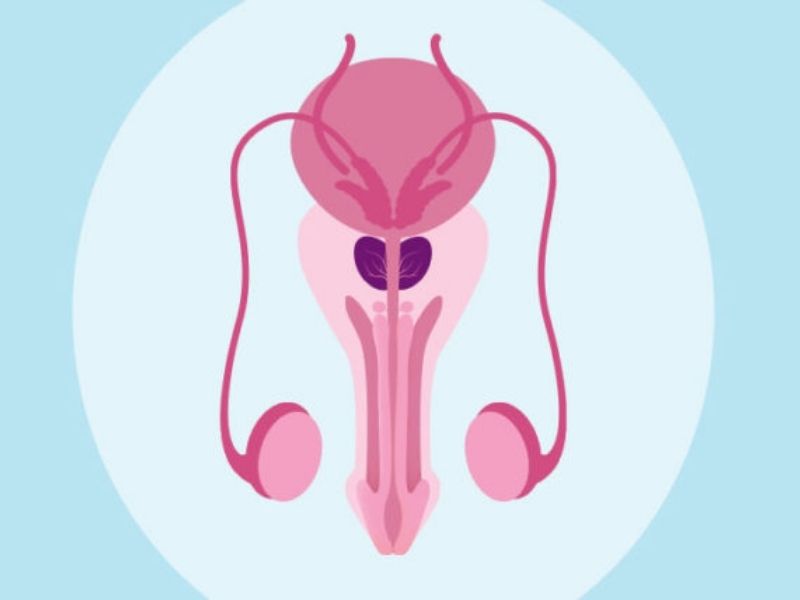 cum este tratat adenomul de prostată tratamentul complex al regimului de tratament cu medicamente pentru prostatită