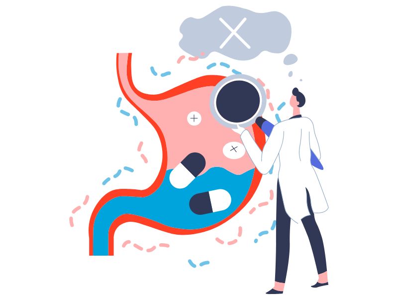 microbiota intestinala, microbiota, tract digestiv, disbioza intestinala, microbiom