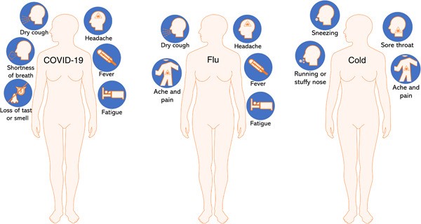 gripa, gripa tip a, flurona, simptome gripa, virusul gripal, tratament gripa, gripa tip a simptome