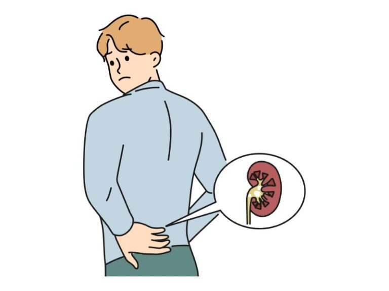 homeostazie, rinichi, durerea de rinchi, boli de rinichi, insuficienta renala, blocaj renal
